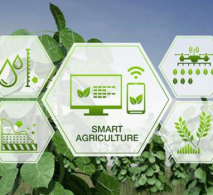 Nền Nông Nghiệp Việt Nam Cần Được Số Hóa