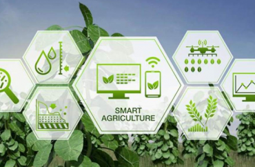 Nền Nông Nghiệp Việt Nam Cần Được Số Hóa