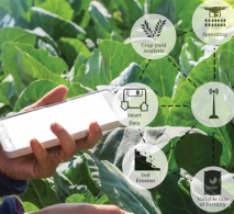 Blockchain Được Ứng Dụng Như Thế Nào Trong Truy Xuất Nguồn Gốc