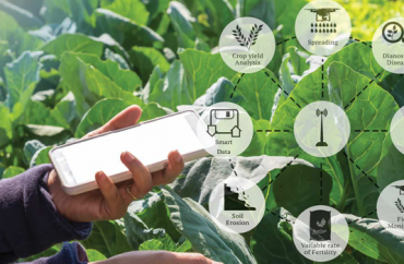 Blockchain Được Ứng Dụng Như Thế Nào Trong Truy Xuất Nguồn Gốc